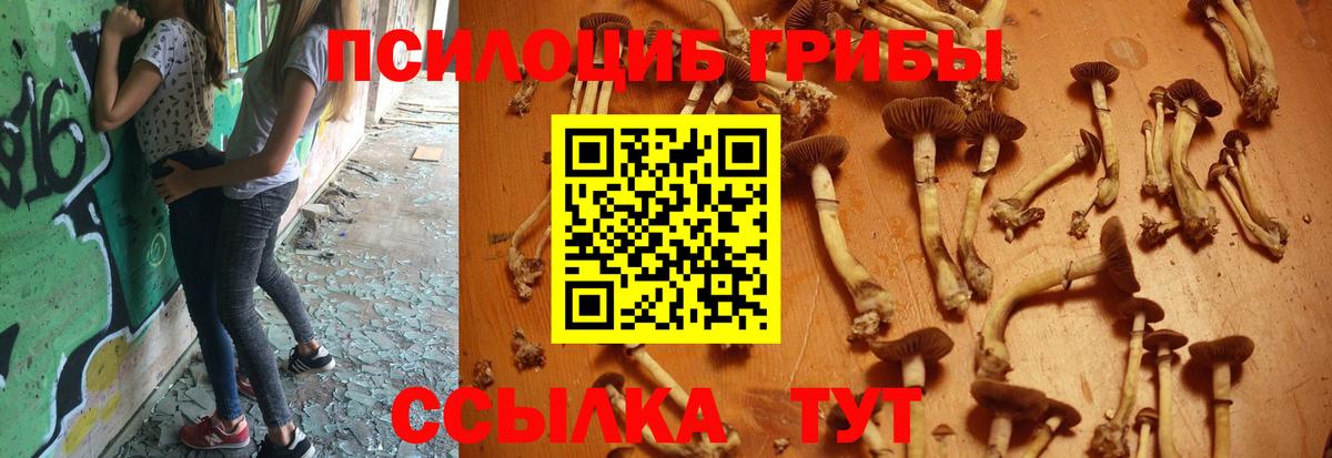Галлюциногенные грибы мухоморы Гулькевичи